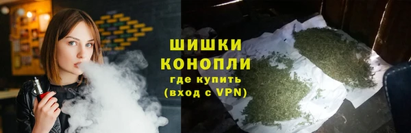 гидра Новодвинск