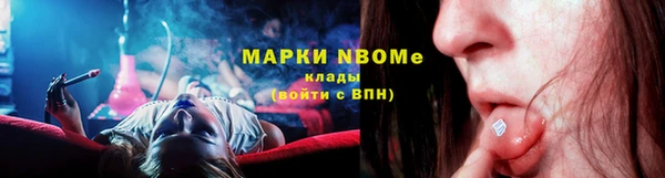 гидра Новодвинск