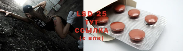 гидра Новодвинск