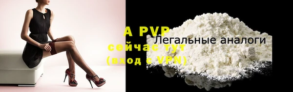 гидра Новодвинск