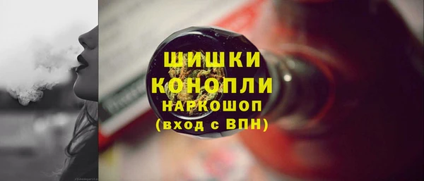 гидра Новодвинск