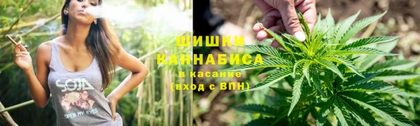 гидра Новодвинск