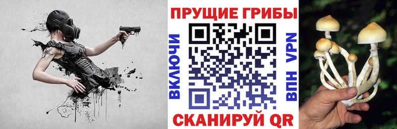Галлюциногенные грибы Cubensis Краснокамск
