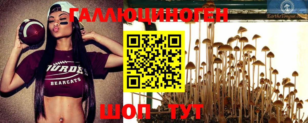 Краснокамск  Галлюциногенные грибы Psilocybe  где купить наркоту  Галлюциногенные грибы GOLDEN TEACHER  Вход с VPN 