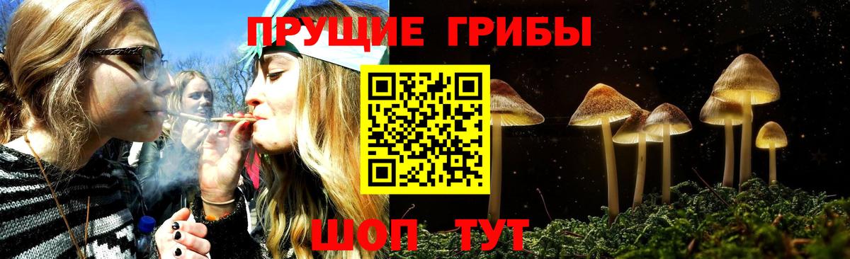 Псилоцибиновые грибы мицелий Краснокамск